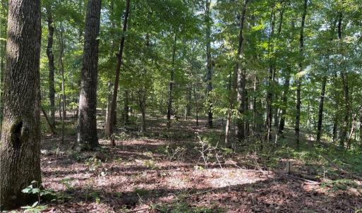 Photo #9 of 4736 Main, Winston-Salem, NC 22.0 acres