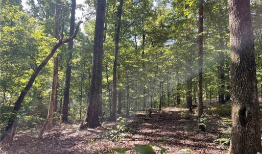 Photo #10 of 4736 Main, Winston-Salem, NC 22.0 acres