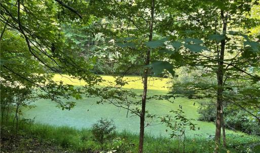 Photo #8 of 4736 Main, Winston-Salem, NC 22.0 acres