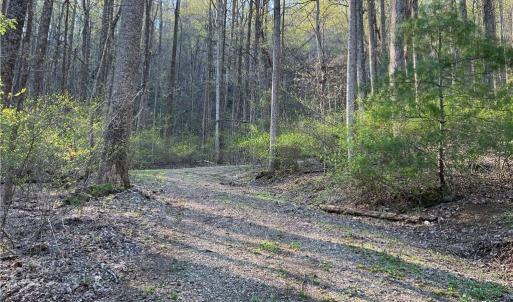 Photo #1 of TBD North Ledge, Fancy Gap, VA 0.3 acres
