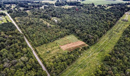 Photo #2 of 7025 Old 421, Liberty, NC 41.0 acres