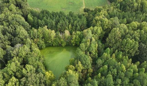 Photo #12 of 2360, 2372 Alamance Church, Greensboro, NC 43.1 acres