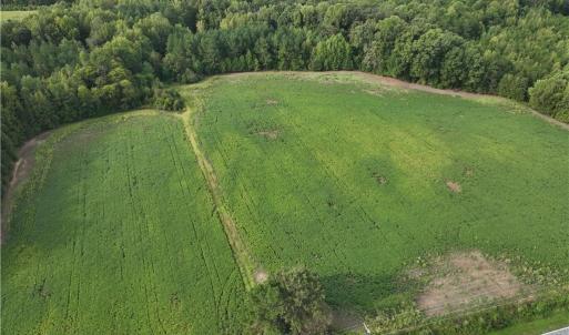 Photo #4 of 2360, 2372 Alamance Church, Greensboro, NC 43.1 acres