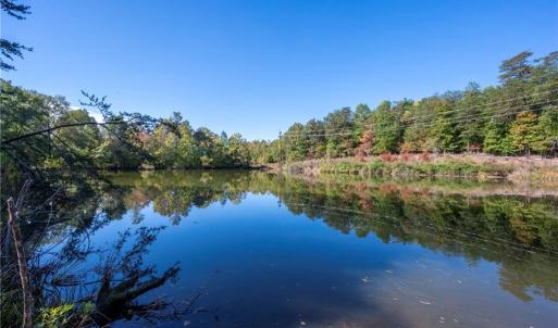 Photo #17 of 01 Turner, Mayodan, NC 37.4 acres