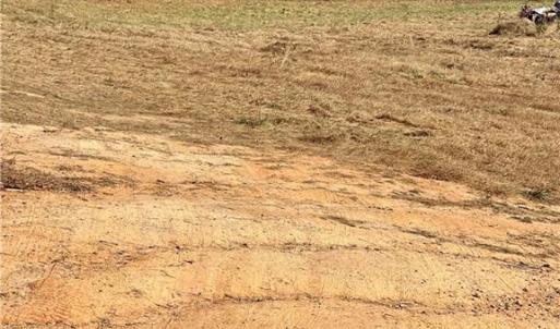 Photo #3 of 460 Grubb, Lexington, NC 3.0 acres