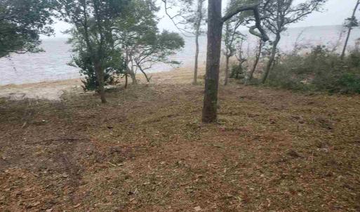 Photo #5 of Willett Tillett Road, Manteo, NC 0.9 acres