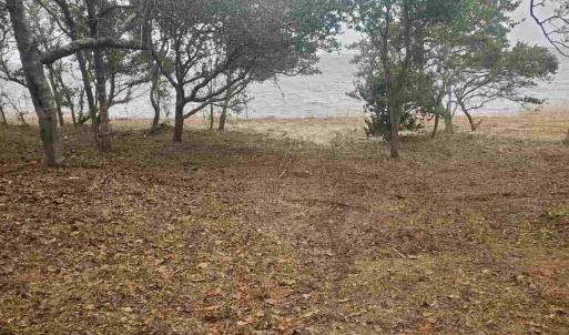 Photo #6 of Willett Tillett Road, Manteo, NC 0.9 acres