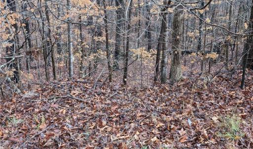 Photo #2 of 200 Bowers, Thomasville, NC 3.0 acres