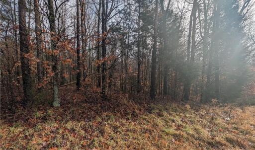 Photo #4 of 200 Bowers, Thomasville, NC 3.0 acres