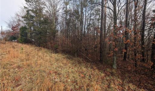 Photo #6 of 255 Bowers, Thomasville, NC 2.3 acres
