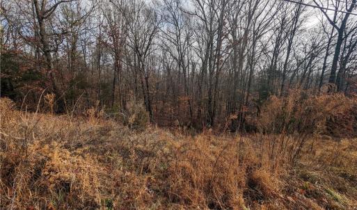 Photo #9 of 255 Bowers, Thomasville, NC 2.3 acres