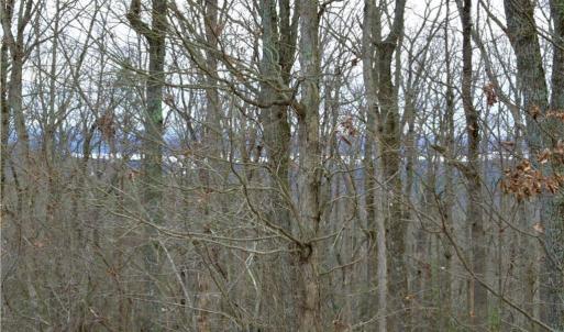 Photo #6 of 2119 Sierra Trace, Denton, NC 1.3 acres