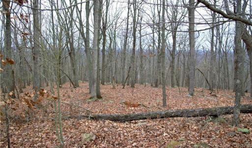 Photo #7 of 2119 Sierra Trace, Denton, NC 1.3 acres