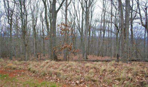 Photo #5 of 2119 Sierra Trace, Denton, NC 1.3 acres