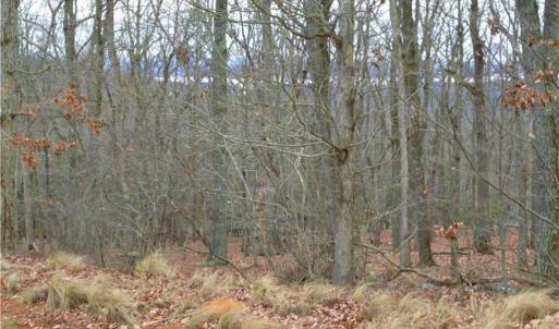 Photo #4 of 2119 Sierra Trace, Denton, NC 1.3 acres