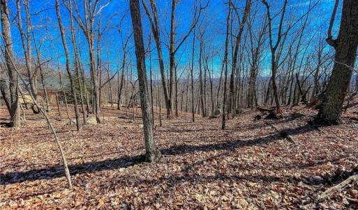 Photo #6 of 1116 Sierra Trace, Denton, NC 4.7 acres
