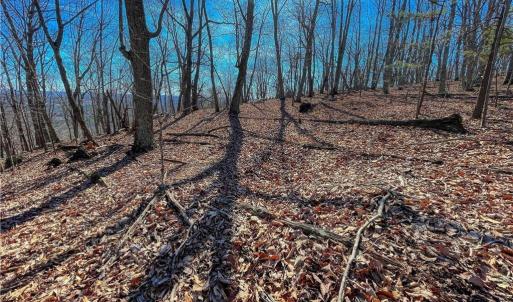 Photo #7 of 1116 Sierra Trace, Denton, NC 4.7 acres