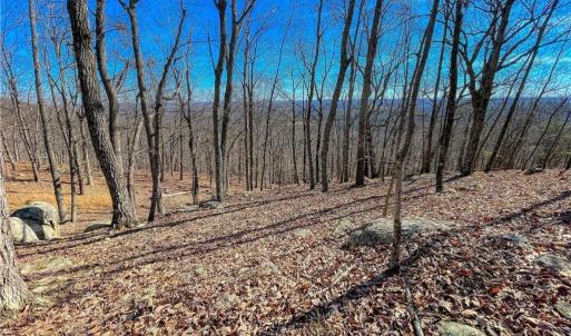 Photo #9 of 1116 Sierra Trace, Denton, NC 4.7 acres