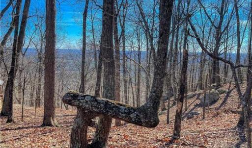Photo #10 of 1116 Sierra Trace, Denton, NC 4.7 acres