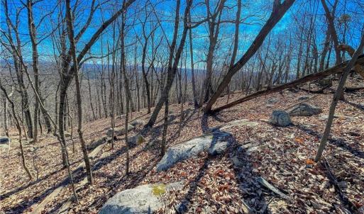 Photo #8 of 1116 Sierra Trace, Denton, NC 4.7 acres