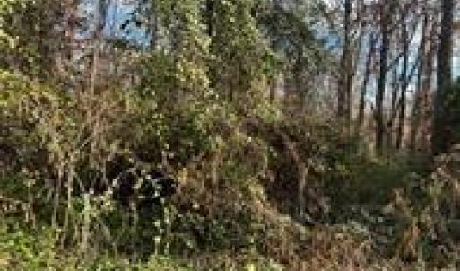 Photo #6 of TBD Miller, Salisbury, NC 0.2 acres