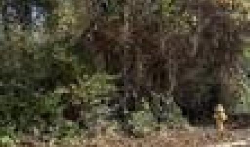 Photo #7 of TBD Miller, Salisbury, NC 0.2 acres