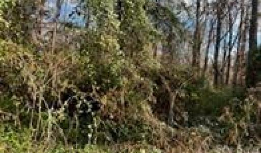 Photo #3 of TBD Miller, Salisbury, NC 0.2 acres