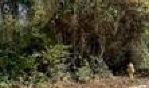 Photo #2 of TBD Miller, Salisbury, NC 0.2 acres