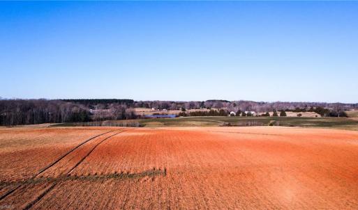 Photo #23 of 8306 Meadow Green, Browns Summit, NC 137.0 acres