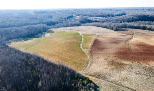 Photo #27 of 8306 Meadow Green, Browns Summit, NC 137.0 acres