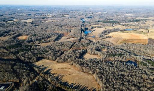 Photo #13 of 8306 Meadow Green, Browns Summit, NC 137.0 acres