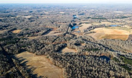 Photo #12 of 8306 Meadow Green, Browns Summit, NC 137.0 acres