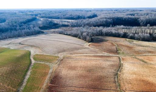 Photo #26 of 8306 Meadow Green, Browns Summit, NC 137.0 acres