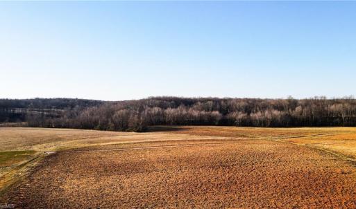 Photo #22 of 8306 Meadow Green, Browns Summit, NC 137.0 acres
