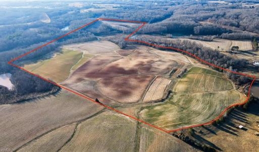 Photo #1 of 8306 Meadow Green, Browns Summit, NC 137.0 acres