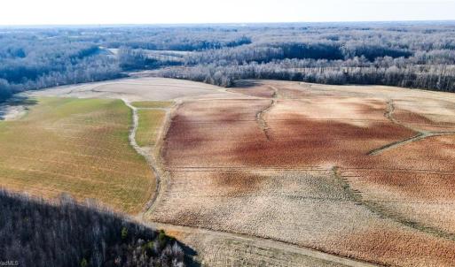 Photo #28 of 8306 Meadow Green, Browns Summit, NC 137.0 acres