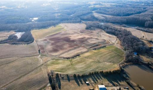 Photo #5 of 8306 Meadow Green, Browns Summit, NC 137.0 acres