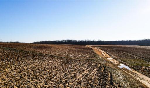 Photo #20 of 8306 Meadow Green, Browns Summit, NC 137.0 acres