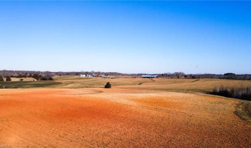 Photo #24 of 8306 Meadow Green, Browns Summit, NC 137.0 acres