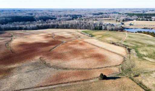 Photo #30 of 8306 Meadow Green, Browns Summit, NC 137.0 acres