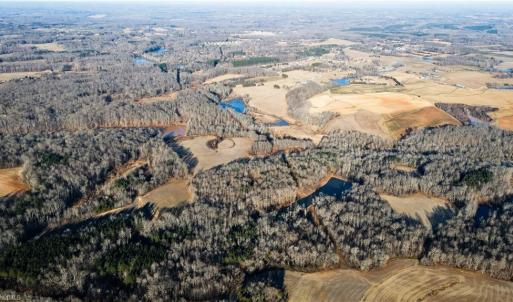 Photo #14 of 8306 Meadow Green, Browns Summit, NC 137.0 acres