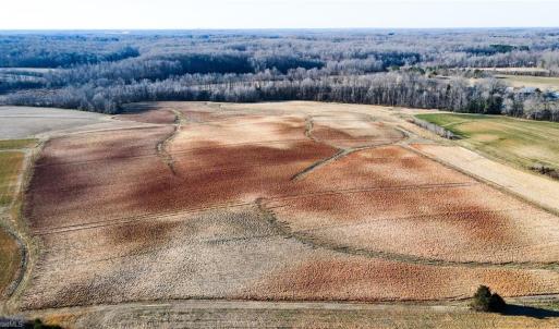 Photo #29 of 8306 Meadow Green, Browns Summit, NC 137.0 acres