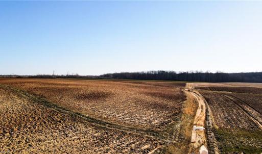 Photo #21 of 8306 Meadow Green, Browns Summit, NC 137.0 acres