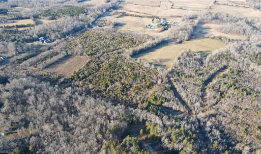 Photo #6 of 3004 ZZ County Farm, Gibsonville, NC 31.7 acres