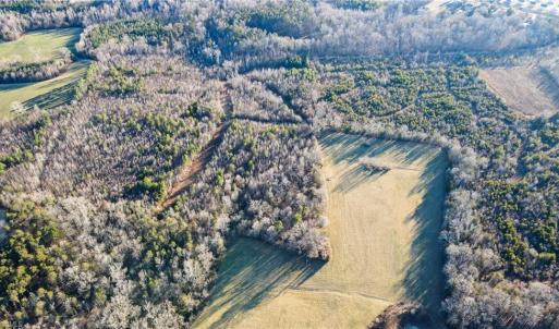 Photo #13 of 3004 ZZ County Farm, Gibsonville, NC 31.7 acres