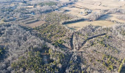 Photo #7 of 3004 ZZ County Farm, Gibsonville, NC 31.7 acres