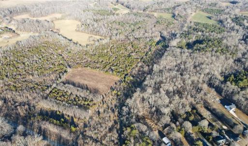 Photo #3 of 3004 ZZ County Farm, Gibsonville, NC 31.7 acres