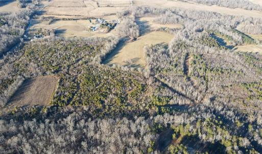 Photo #5 of 3004 ZZ County Farm, Gibsonville, NC 31.7 acres