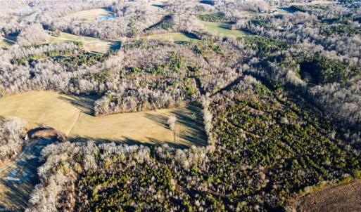 Photo #15 of 3004 ZZ County Farm, Gibsonville, NC 31.7 acres