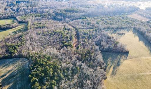 Photo #13 of 3004 ZZ County Farm, Gibsonville, NC 31.7 acres